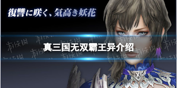 《真三国无双霸》王异怎么样 王异值得培养吗