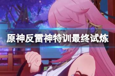 《原神》反雷神特训最终试炼怎么玩
