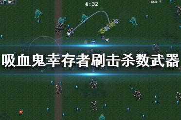 《吸血鬼幸存者》刷击杀数哪个武器好用