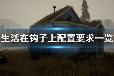 《生活在钩子上》配置要求高吗