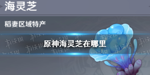 《原神》海灵芝在哪 海灵芝怎么采集