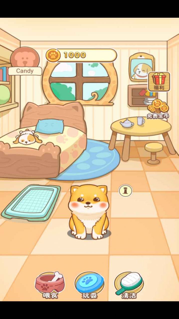 狗狗大本营截图