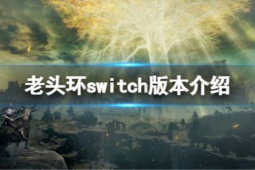 《艾尔登法环》switch能玩吗