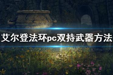 《艾尔登法环》pc怎么双持武器