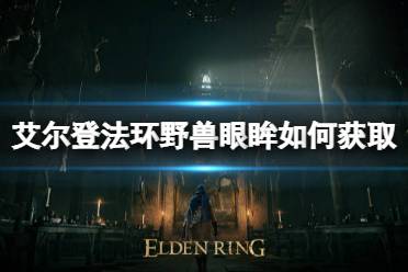 《艾尔登法环》爪痕圣印记如何获取