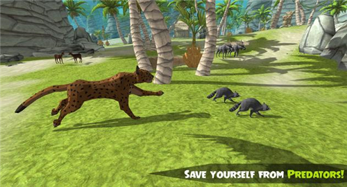 浣熊丛林探险截图