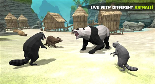 浣熊丛林探险截图