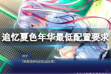 《追忆夏色年华》配置要求高吗