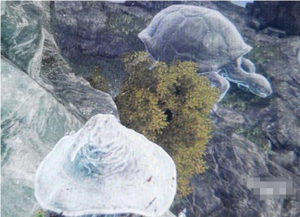 艾尔登法环菈妮的暗月在哪 菈妮的暗月位置详解