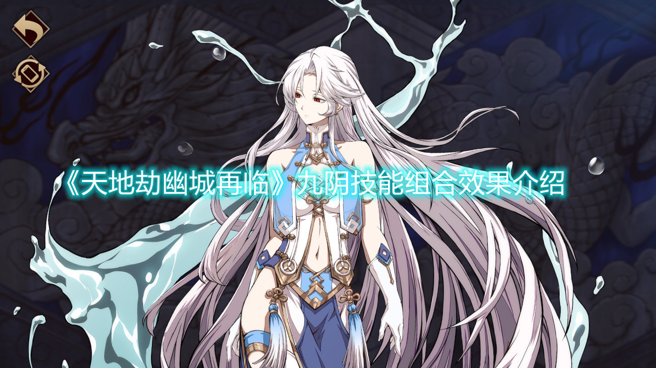 《天地劫幽城再临》九阴技能组合效果介绍