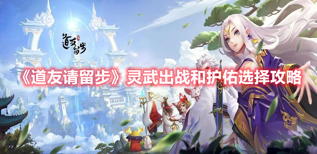 《道友请留步》灵武出战和护佑选择攻略