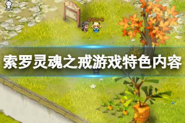 《索罗灵魂之戒》好玩吗