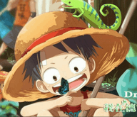 海贼王我在德雷斯罗萨