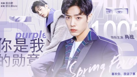 你是我的勋章截图