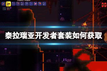 《泰拉瑞亚》开发者套装如何获取