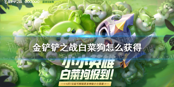 《金铲铲之战》白菜狗怎么获得 白菜狗获取方法