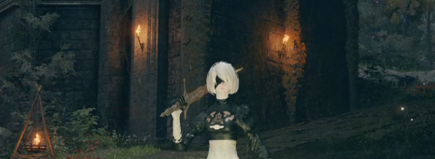 《艾尔登法环》尼尔2B小姐姐无裙版替换流浪骑士MOD截图