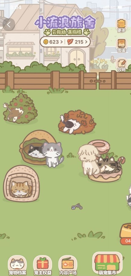 淘宝小流浪旅舍截图