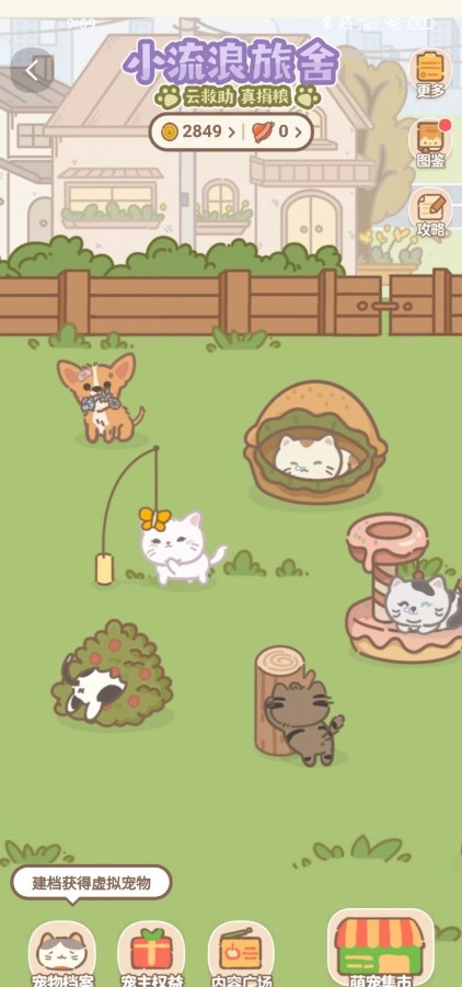 淘宝小流浪旅舍截图