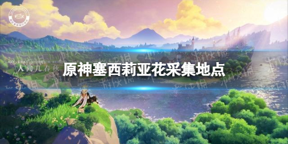 《原神》温迪突破材料位置 塞西莉亚花采集地点