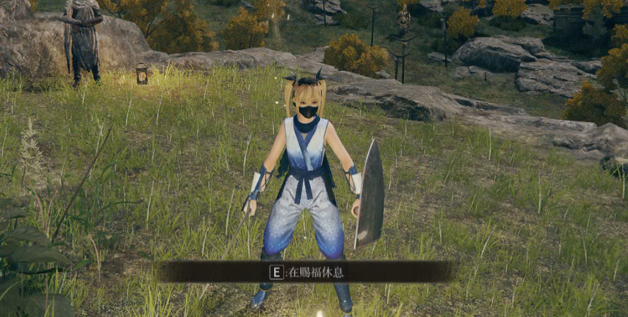 《艾尔登法环》死或生玛丽萝丝替换流浪骑士MOD截图