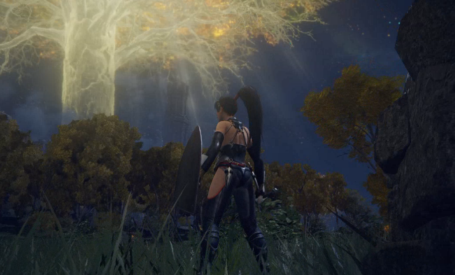 《艾尔登法环》忍龙女忍者替换流浪骑士MOD截图