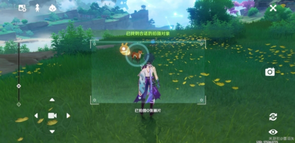 原神容彩诗境其二攻略 稻妻特色动物在哪里