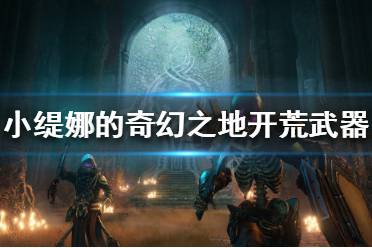 《小缇娜的奇幻之地》开荒武器如何选择