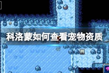 《科洛蒙》如何查看宠物资质