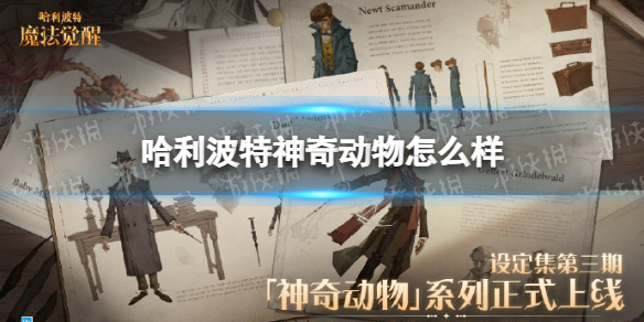 《哈利波特》神奇动物怎么样 神奇动物活动介绍
