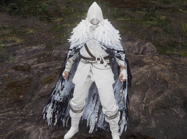 《艾尔登法环》白色的猛禽黑羽套装与盗贼套装MOD截图
