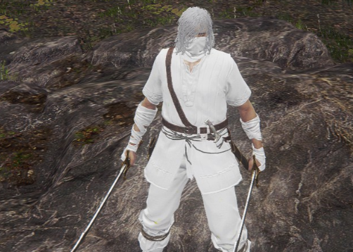 《艾尔登法环》白色的猛禽黑羽套装与盗贼套装MOD截图