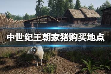 《中世纪王朝》猪在哪买