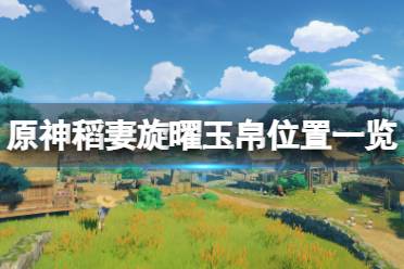 《原神》旋曜玉帛稻妻在哪