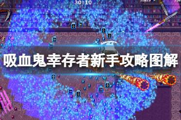 《吸血鬼幸存者》新手攻略图解 新手入门全解析