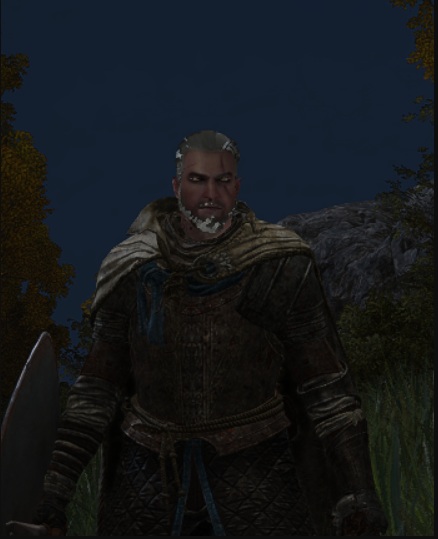 《艾尔登法环》巫师3杰洛特替换流浪骑士头盔MOD截图