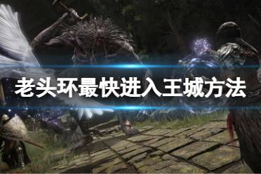 《艾尔登法环》怎么快速进入王城