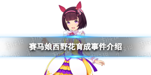 《赛马娘手游》西野花事件怎么选