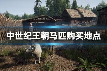 《中世纪王朝》马在哪买