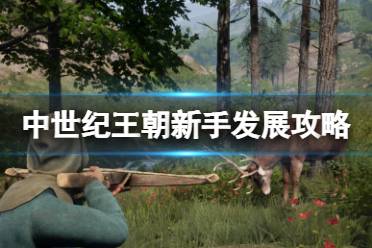 《中世纪王朝》新手怎么发展