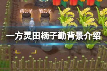 《一方灵田》杨子勤怎么样