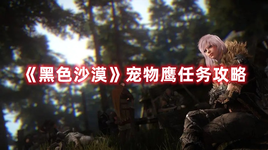 《黑色沙漠》宠物鹰任务攻略