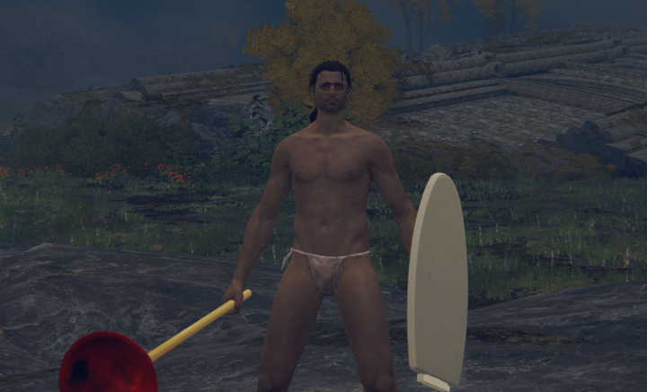 《艾尔登法环》马桶盖与马桶搋武器MOD截图