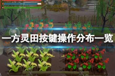 《一方灵田》游戏怎么操作