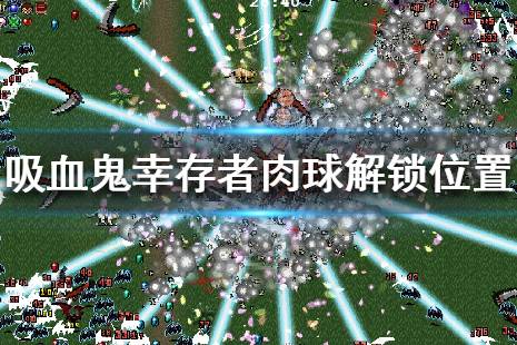 《吸血鬼幸存者》肉球解锁位置分享 肉球好用吗