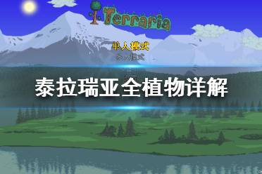 《泰拉瑞亚》有哪些植物