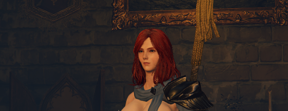 《艾尔登法环》最终幻想14女武神套装替换骑士套MOD截图