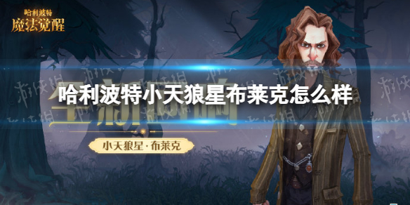 《哈利波特》小天狼星布莱克怎么样
