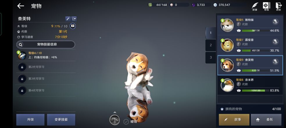 黑色沙漠消失的浣熊任务攻略