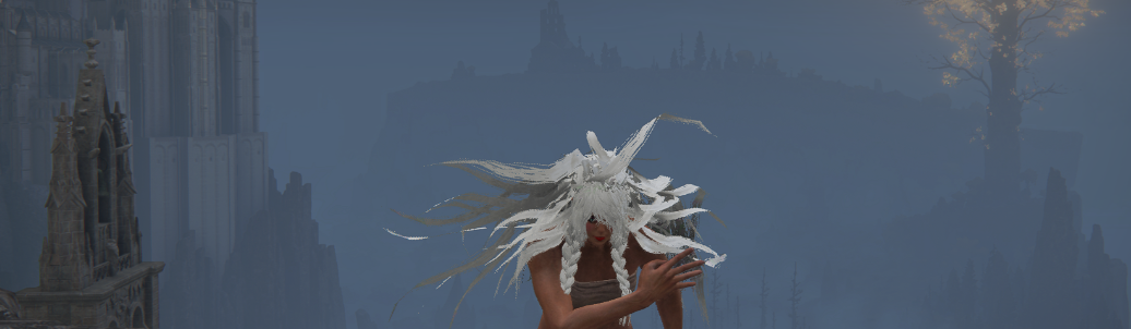 《艾尔登法环》四种带物理效果的长发MOD截图